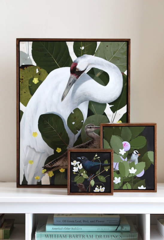 Framed paintings displayed on a shelf
