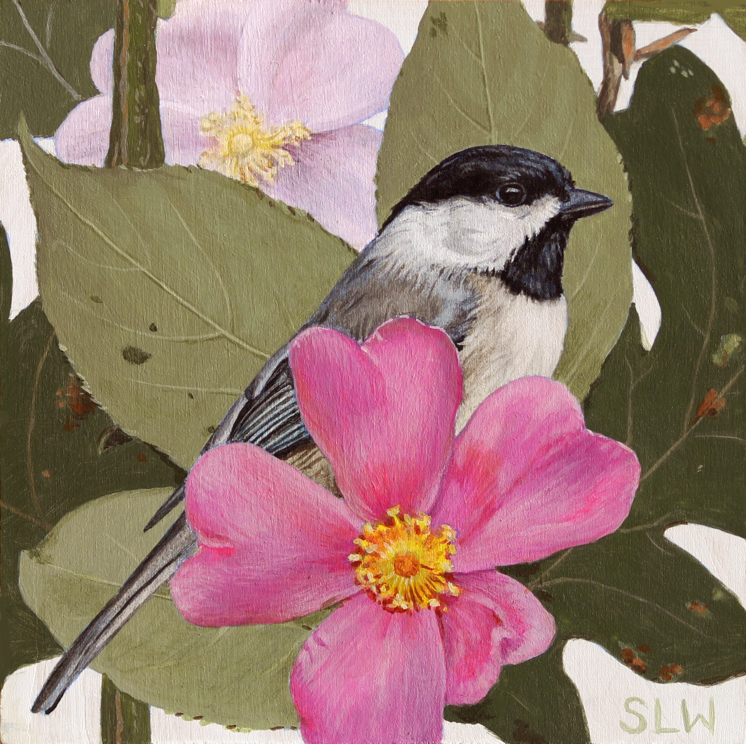 Black-Capped Chickadee, Hedge Series