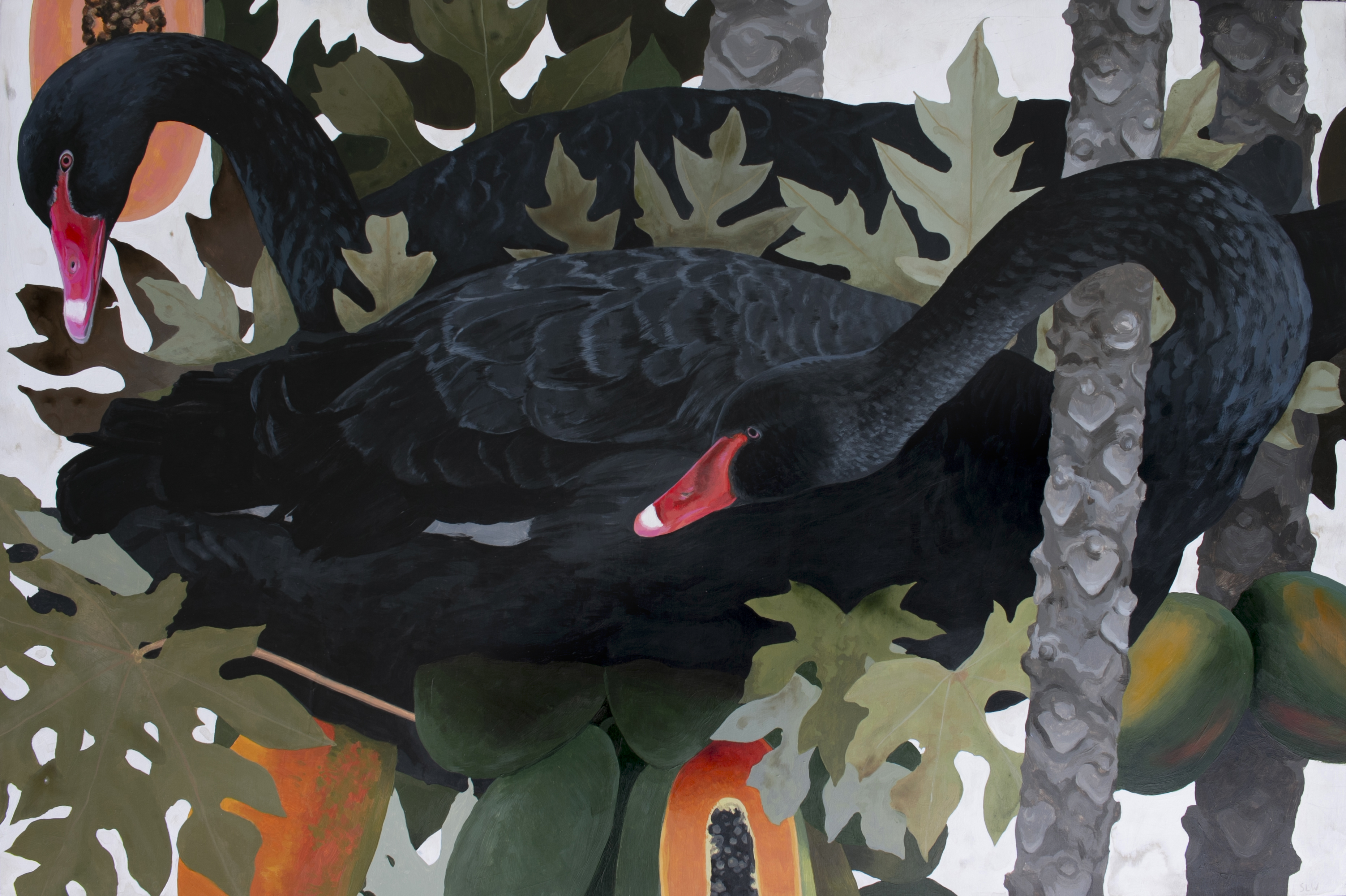 Black Swans
