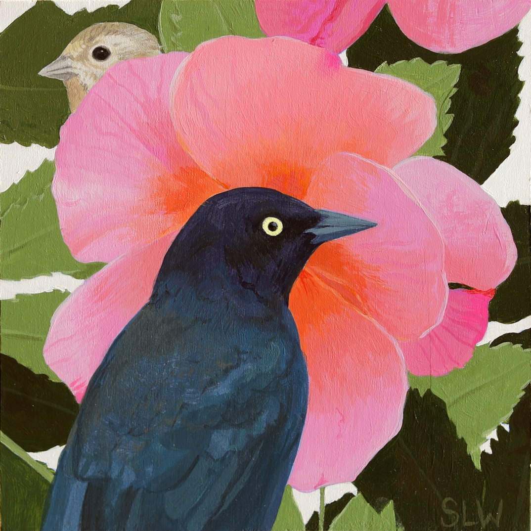 Brewer’s Blackbird, Hedge Series
