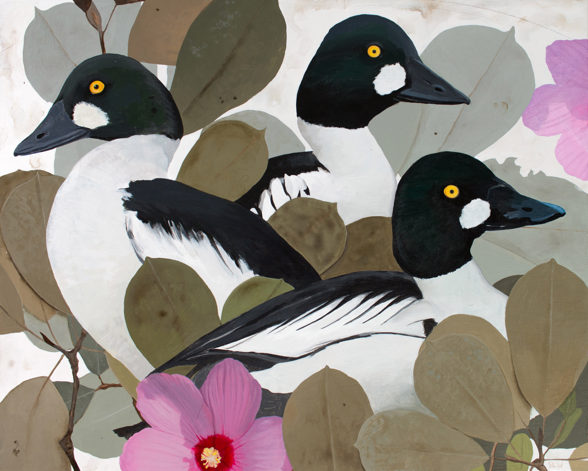 Goldeneyes