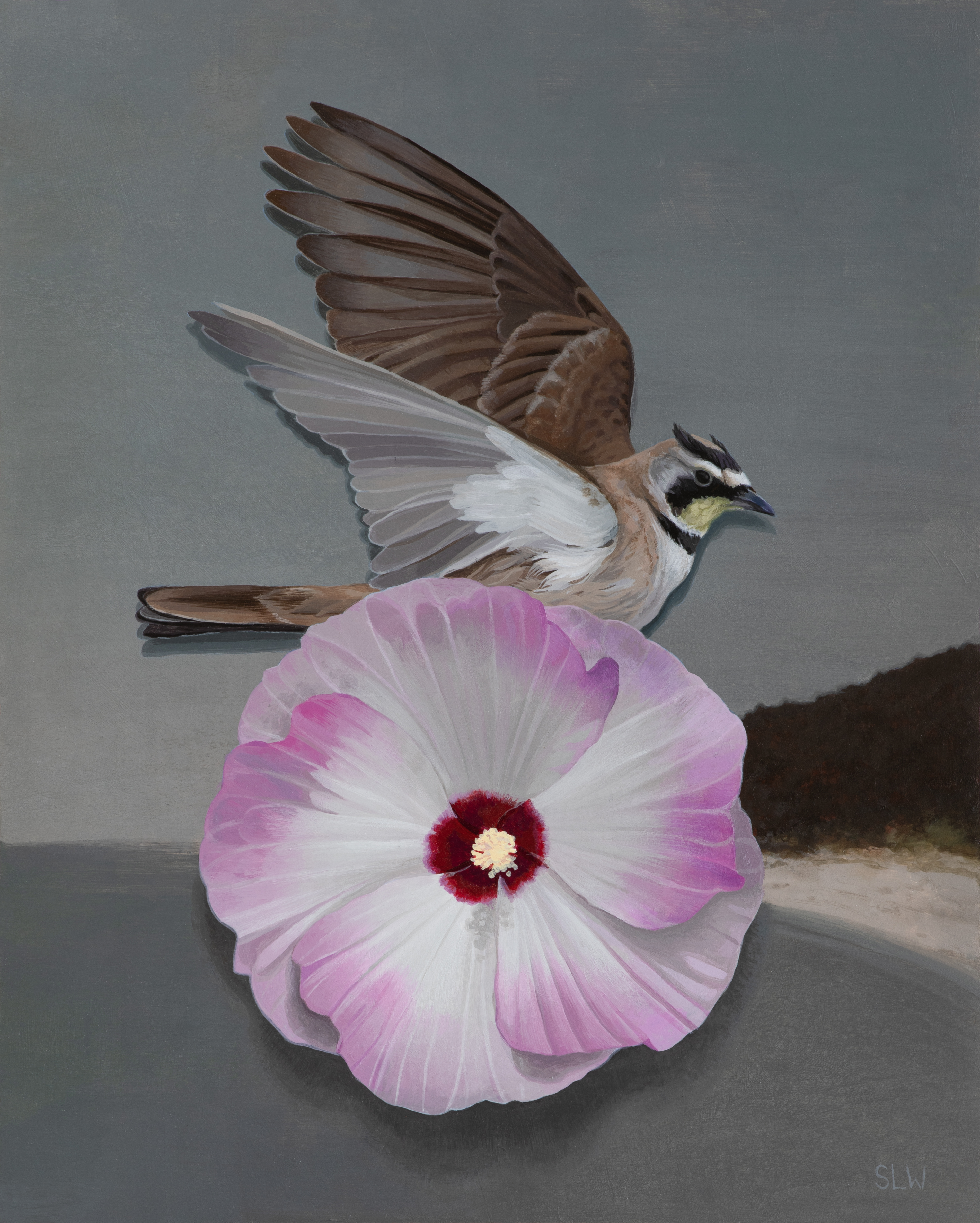 Tableau 2: Horned Lark and Hibiscus