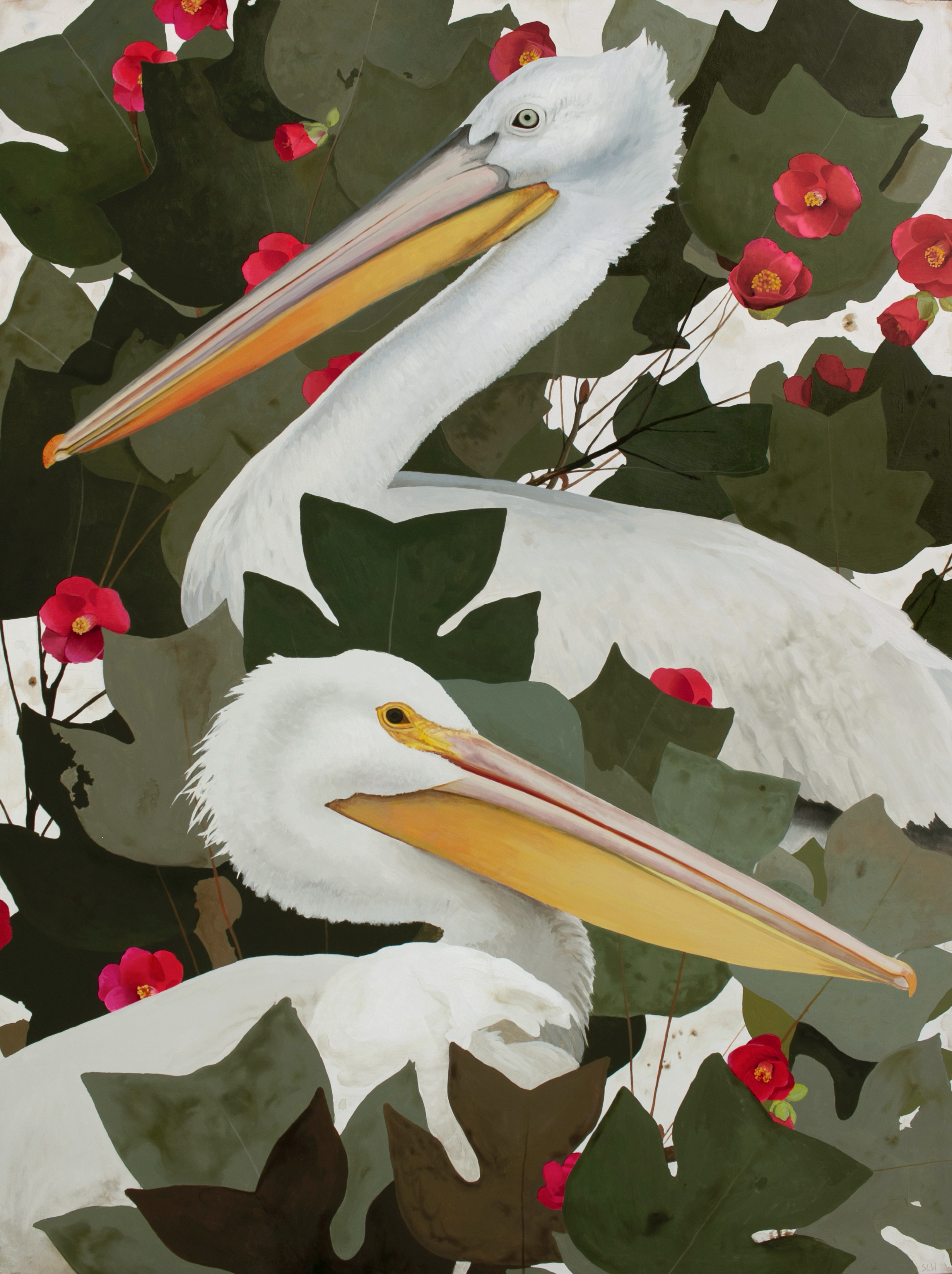 Pelicans in Japanese Camellia