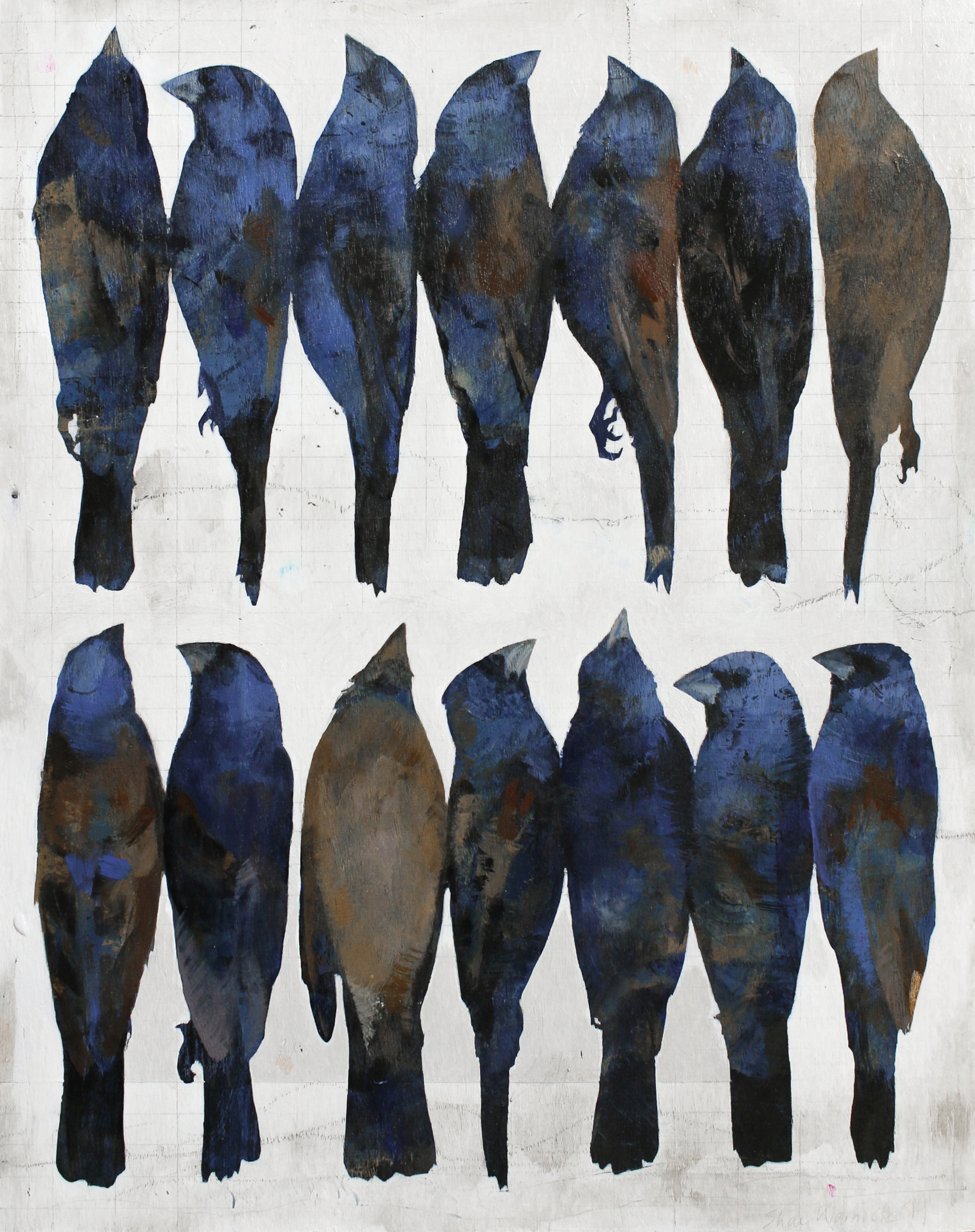 Blue Grosbeaks