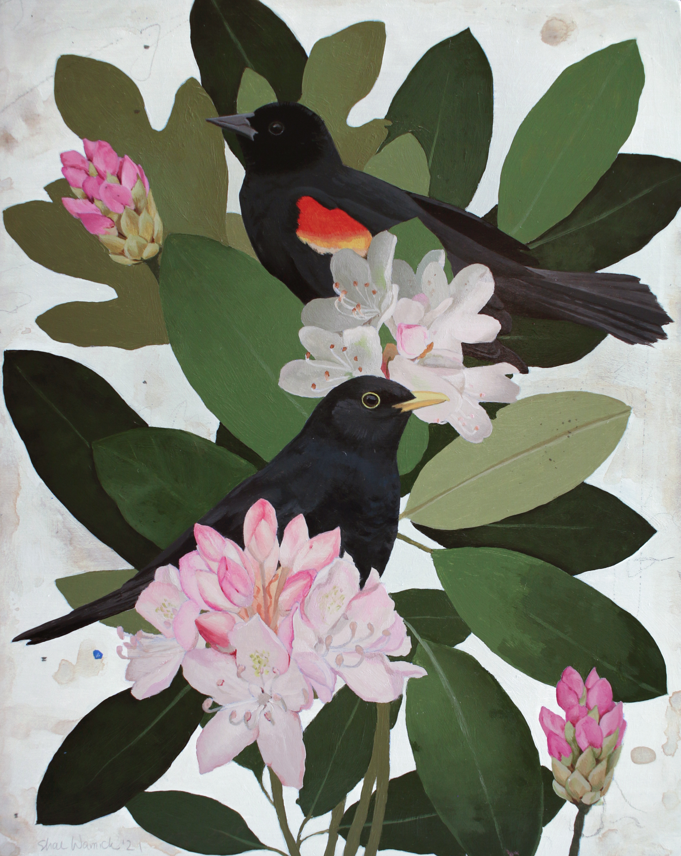 Blackbird Posy