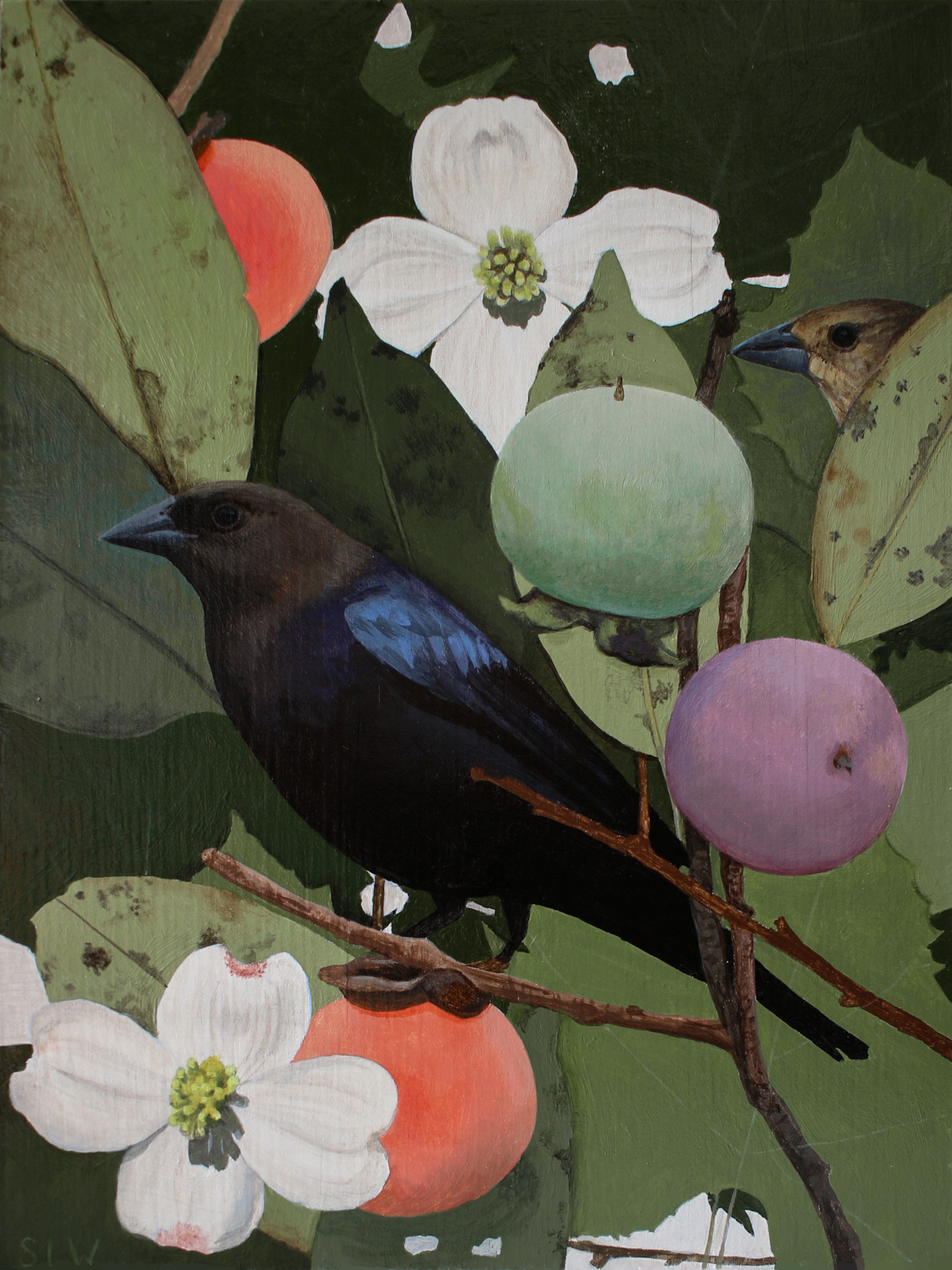 Cowbird Bouquet
