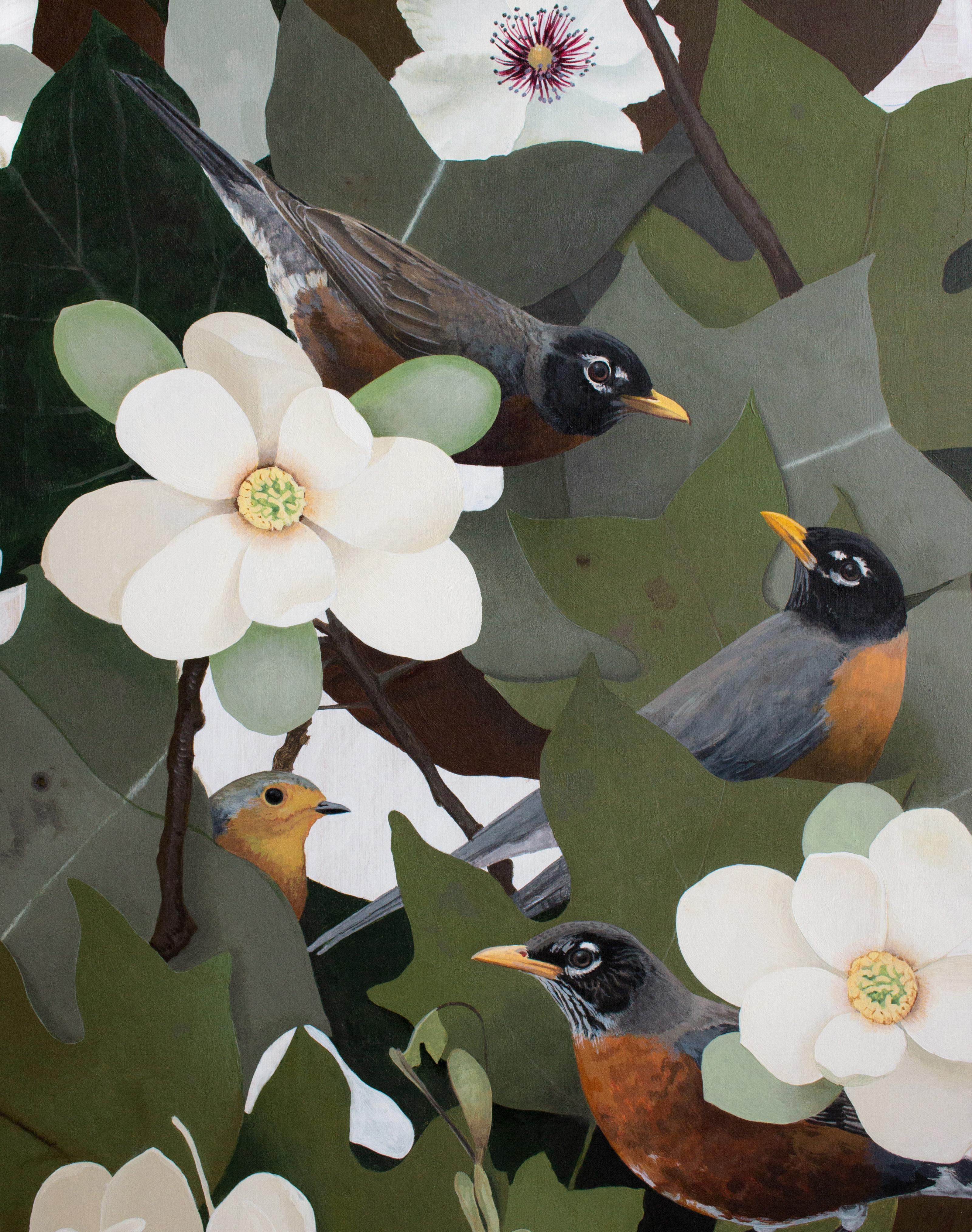Robins