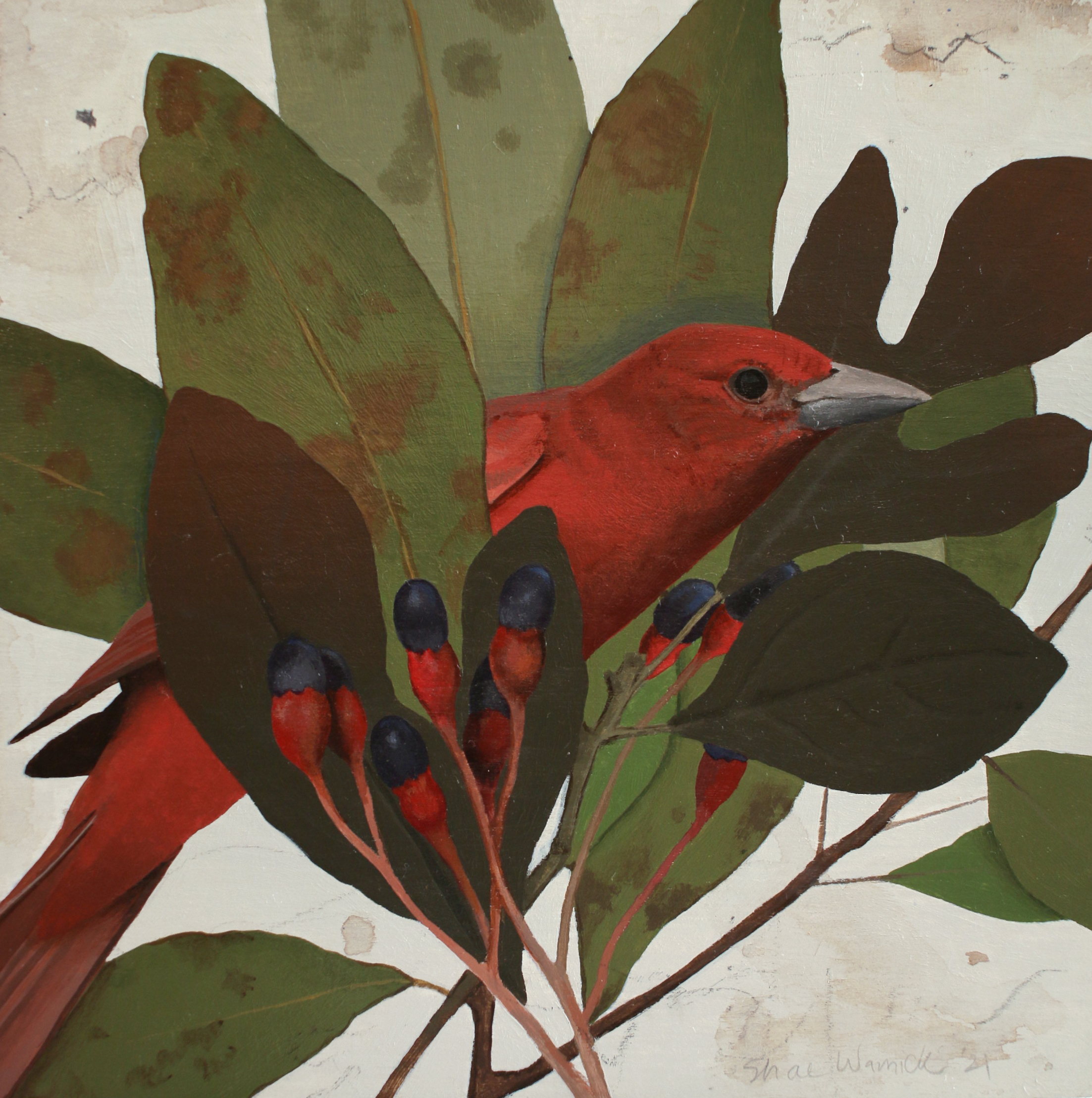 Summer Tanager Corsage