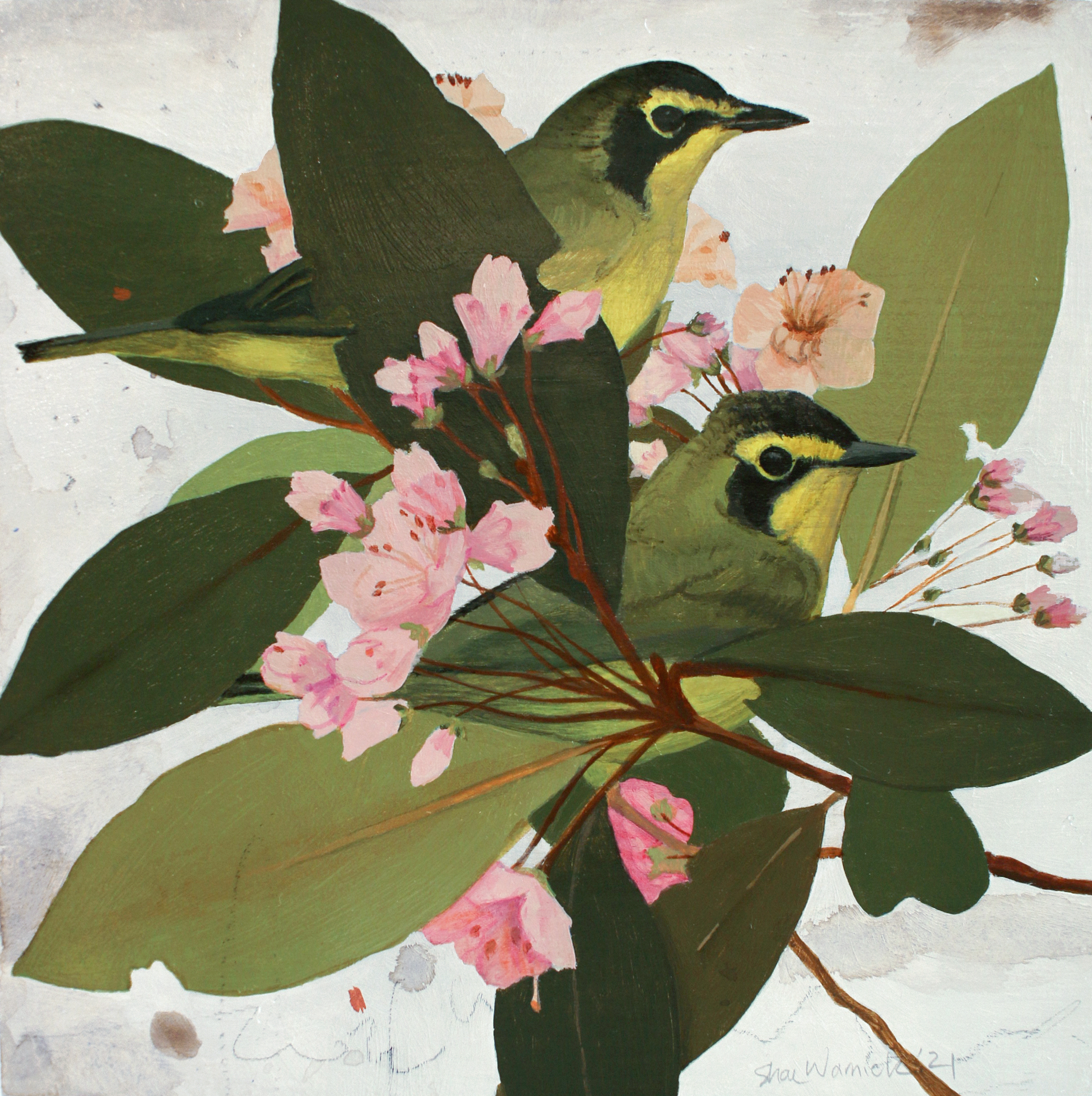 Kentucky Warbler Corsage
