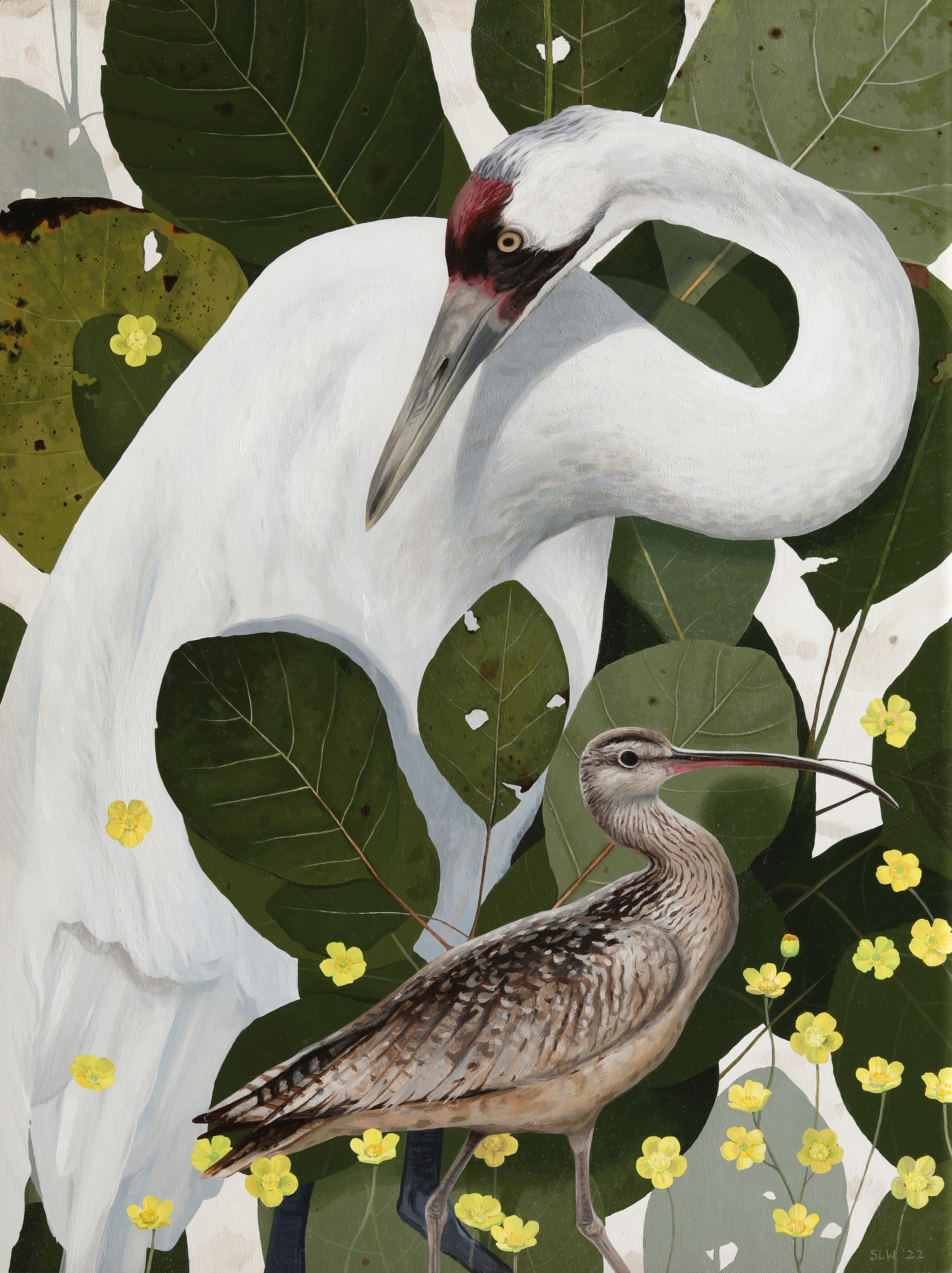 Whooping Crane and Curlew
