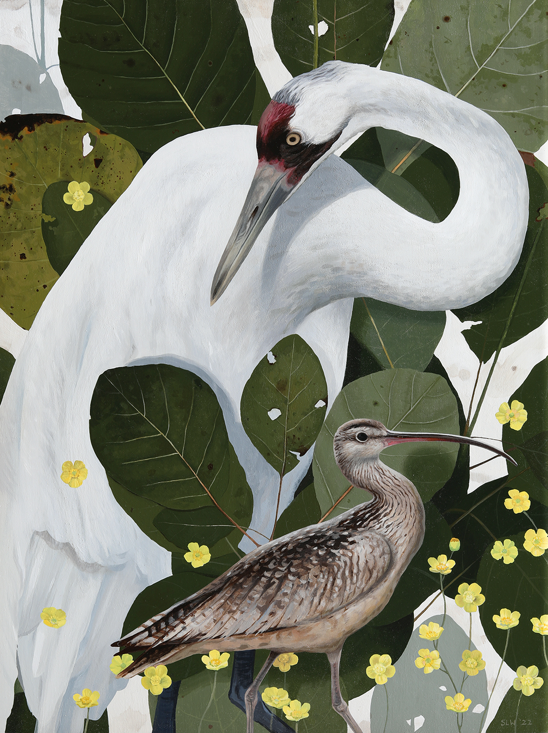Whooping Crane and Curlew, painting by Shae Warnick